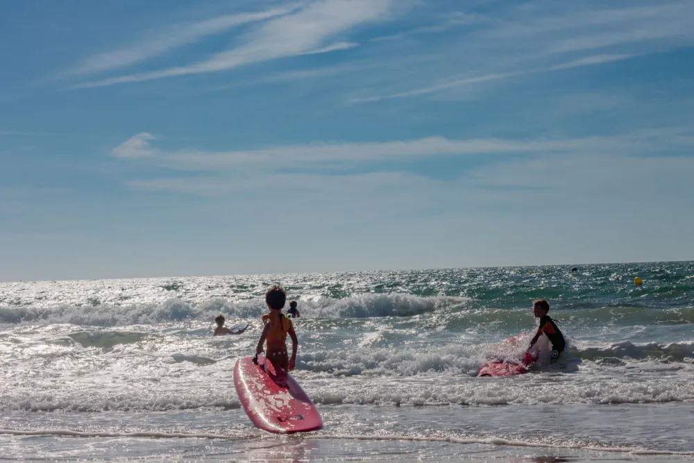 TAIGA Puerto Santa María