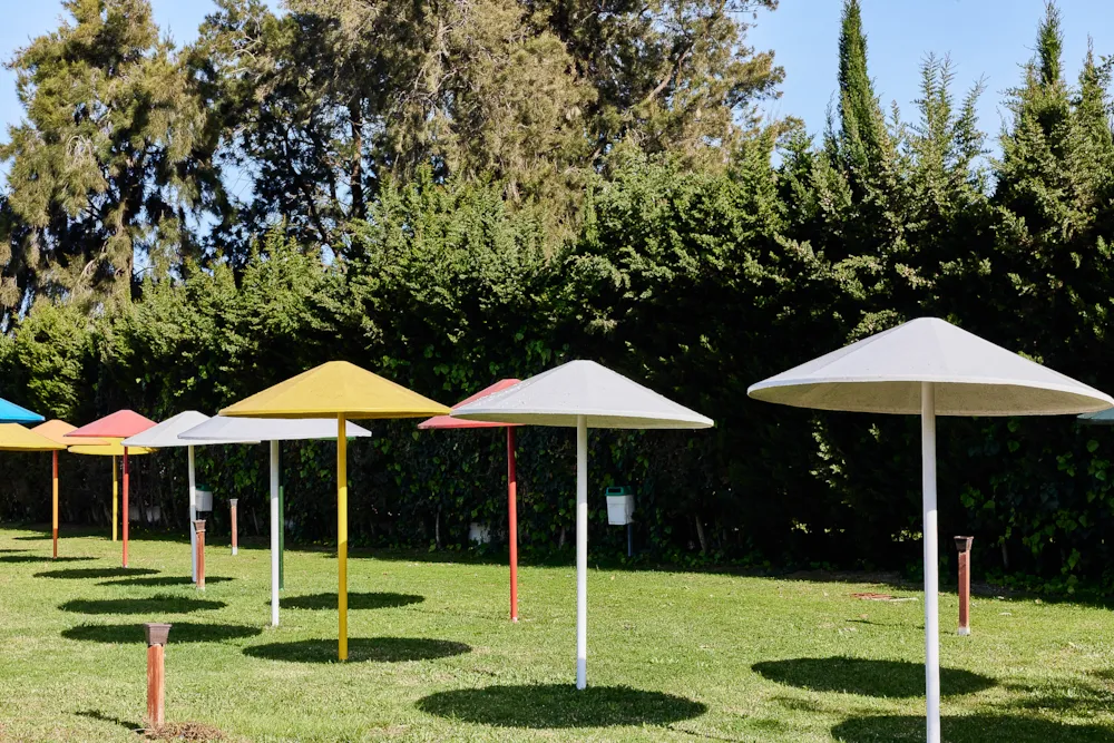 TAIGA Puerto Santa María