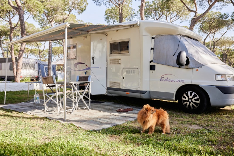 LARGE PITCH WITH SHADE FOR CARAVAN OR AUTOCARAVAN