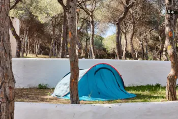 Stellplatz - Standard Terrassenförmig Stellplatz Nur Für Camping Zelte - TAIGA Puerto Santa María