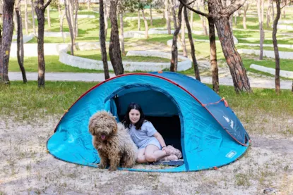 Standard Pitch Only For Camping Tent