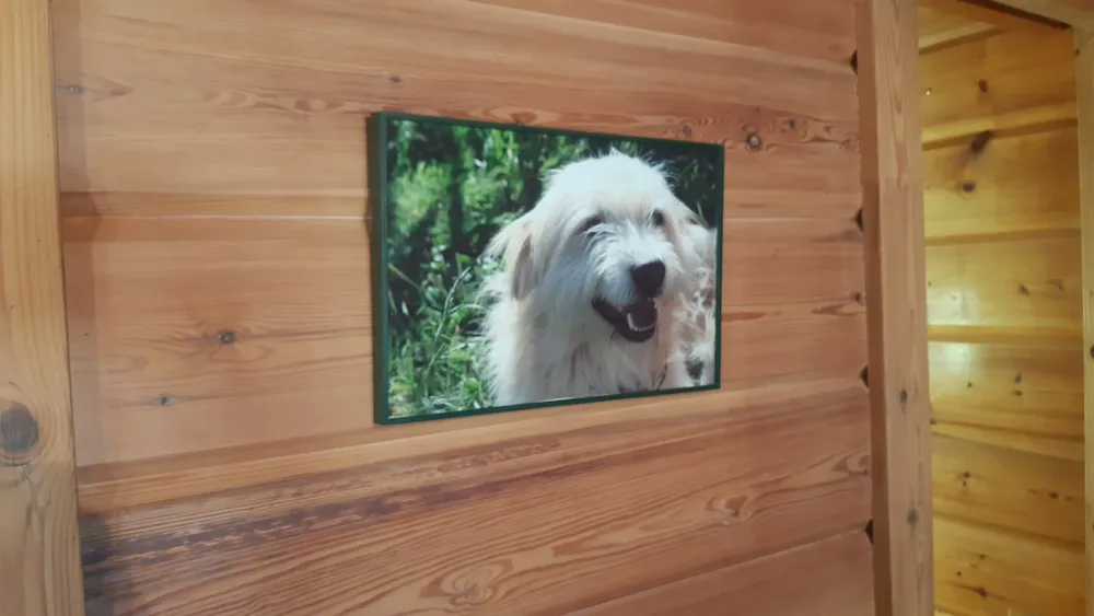 Location - Chalet Du Berger - 2 Chambres = Draps + Serviettes +Ménage - Camping écovillage SOLEIL DU PIBESTE