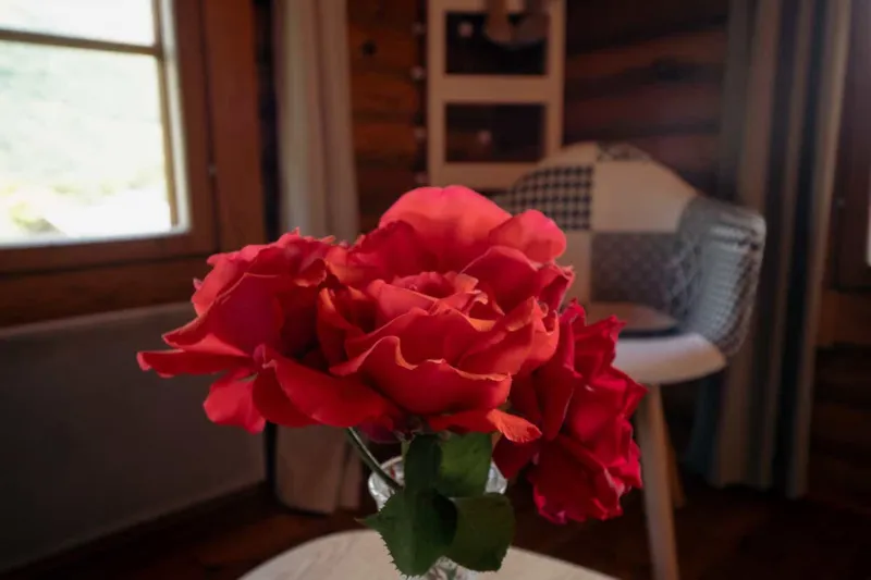 Chalet Nid D'amour Jacuzzi + Draps + Serviettes +Ménage