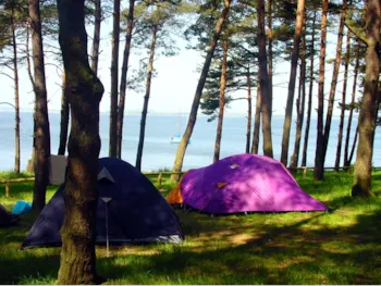 Stellplatz - Stellplatz Classic Zelt/Campingbus Bis 5,30 M - Natur Camping Usedom