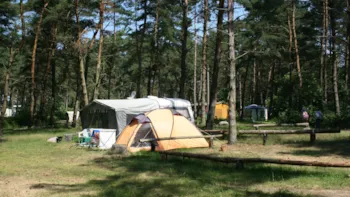 Stellplatz - Stellplatz Classic Maxi Wohnmobil/Caravan - Natur Camping Usedom