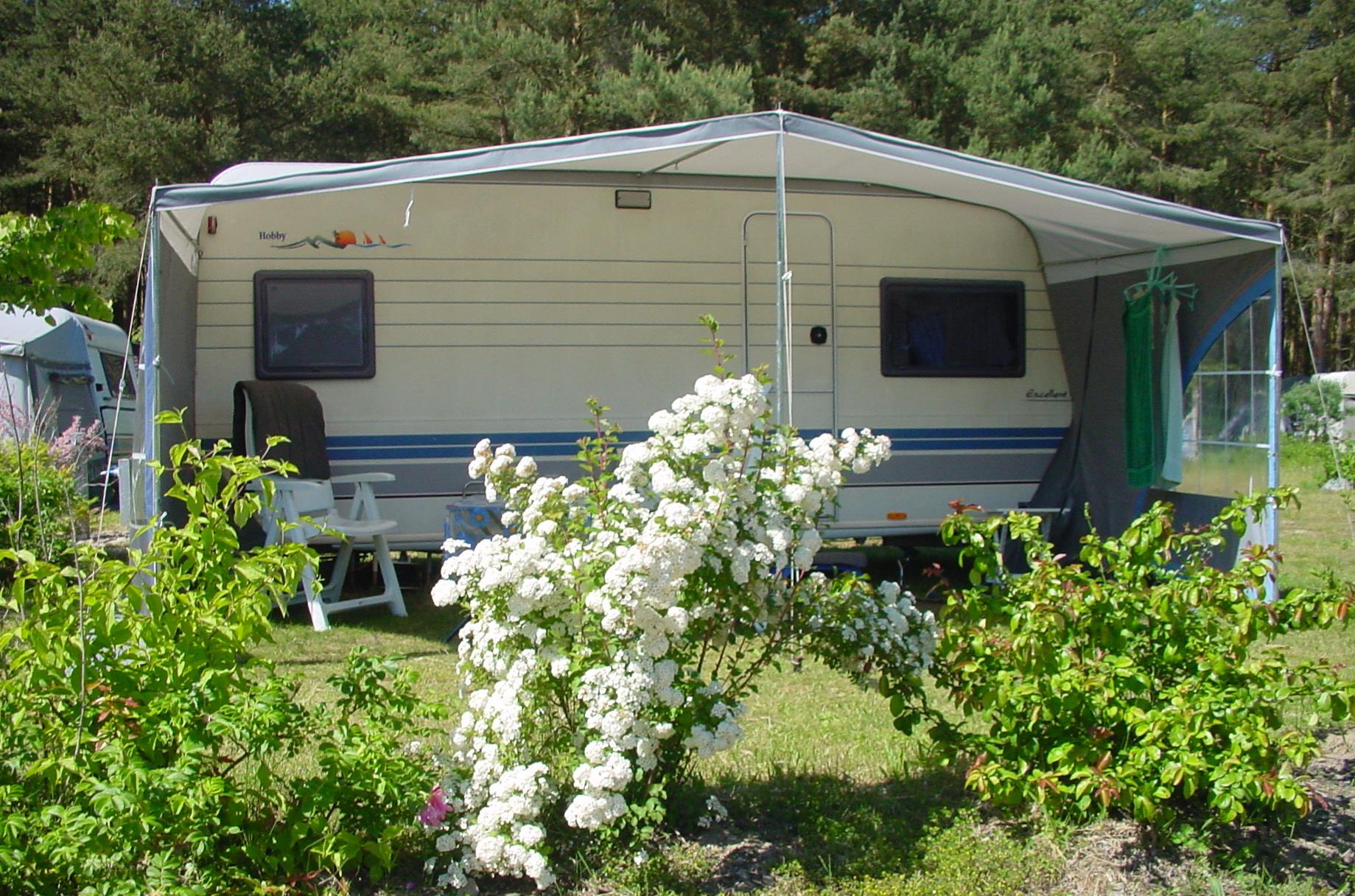 Parcela - Parcela Confort - Natur Camping Usedom
