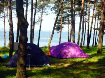 Stellplatz - Unparzellierter Stellplatz Für Zelt Bis 5 Qm - Natur Camping Usedom