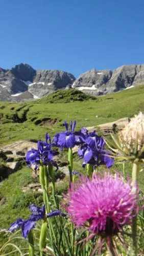 Camping Du Lac **** - image n°48 - UniversalBooking