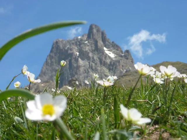 Camping Du Lac **** - image n°51 - UniversalBooking