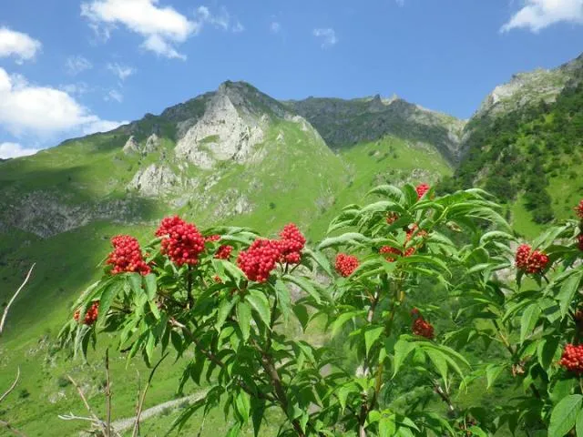 Camping Du Lac **** - image n°52 - UniversalBooking