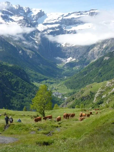 Camping Du Lac **** - image n°67 - UniversalBooking