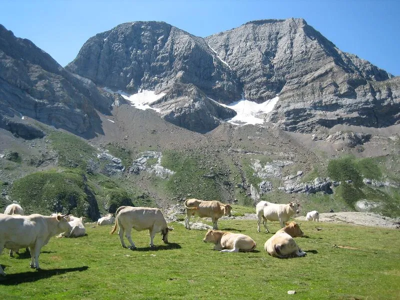 Camping Du Lac **** - image n°70 - UniversalBooking