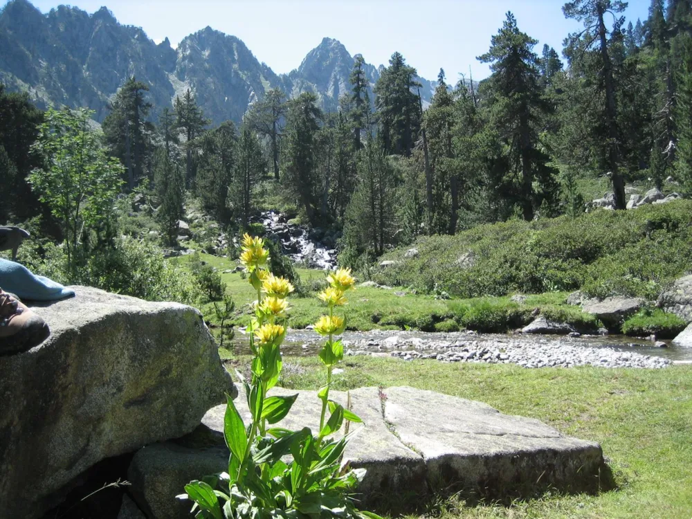 Camping Du Lac **** - image n°62 - UniversalBooking