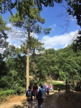 Foto #43 van Camping Barco Reale