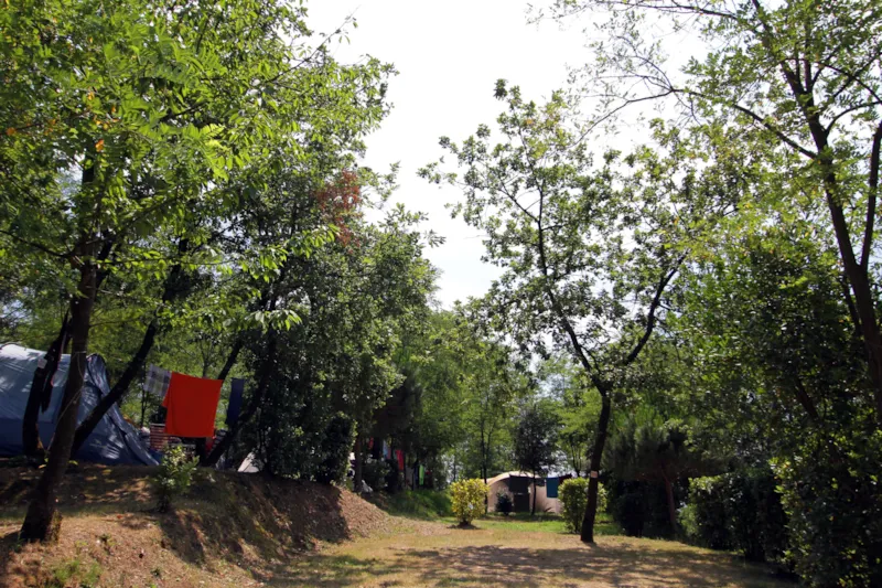 Emplacement Plus 60-75M² : Voiture + Tente/Caravane Ou Camping-Car + Électricité