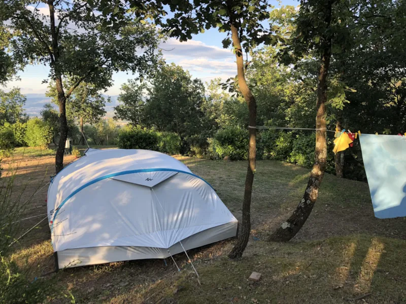 Emplacement Plus 60-75M² : Voiture + Tente/Caravane Ou Camping-Car + Électricité