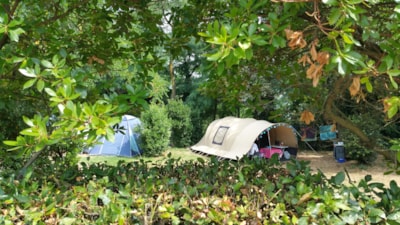 Pitch Plus 60-75m²: car + tent/caravan or camping-car + electricity — 1