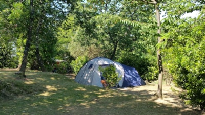 Pitch Plus 60-75m²: car + tent/caravan or camping-car + electricity — 6