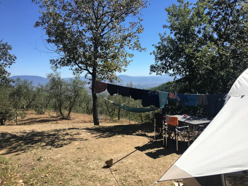 Maxi Emplacement 80-100M² : Voiture + Tente/Caravane Ou Camping-Car + Électricité