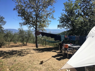 Maxi Pitch 80-100m²: car + tent/caravan or camping-car + electricity — 2