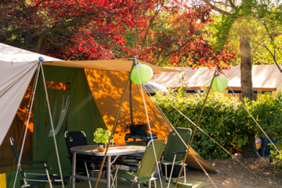 Maxi Pitch 80-100m²: car + tent/caravan or camping-car + electricity — 3