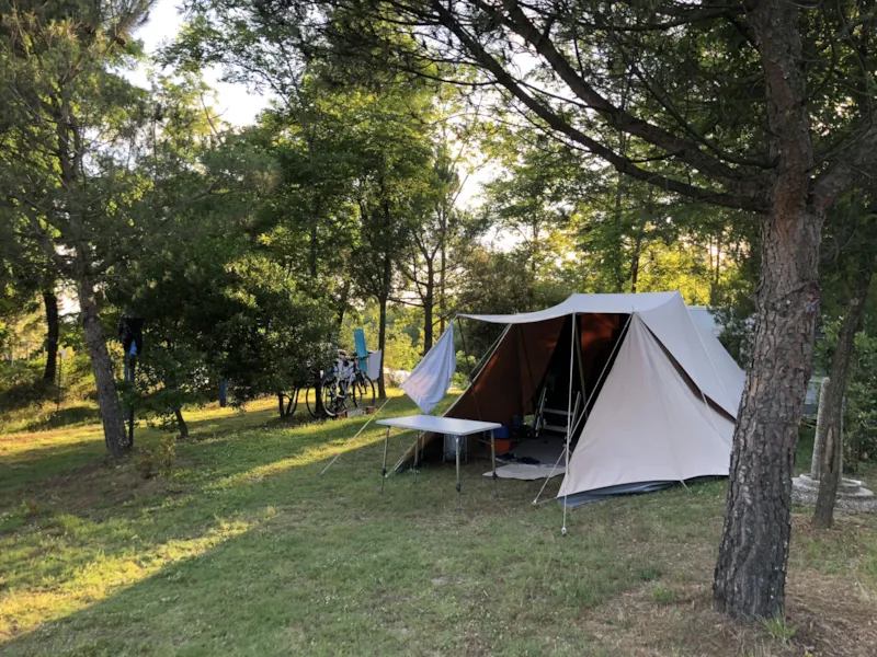 Maxi Emplacement 80-100M² : Voiture + Tente/Caravane Ou Camping-Car + Électricité