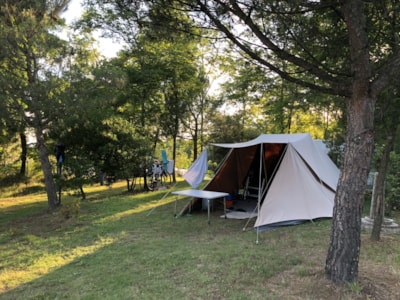 Maxi Pitch 80-100m²: car + tent/caravan or camping-car + electricity — 6