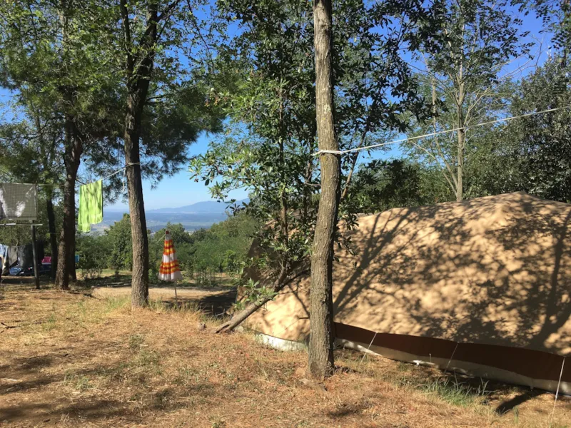 Maxi Emplacement 80-100M² : Voiture + Tente/Caravane Ou Camping-Car + Électricité