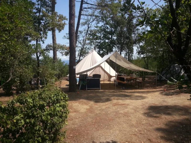 Super Maxi Emplacement 101-135M² : Voiture + Tente/Caravane Ou Camping-Car + Électricité