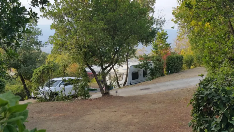 Super Maxi Emplacement 101-135M² : Voiture + Tente/Caravane Ou Camping-Car + Électricité