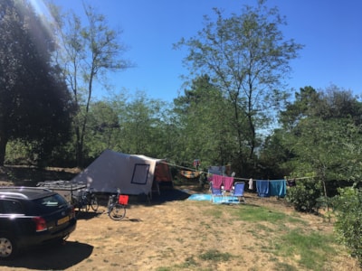 Exclusive Pitch 136-180m²: car + tent/caravan or camping-car + electricity — 5