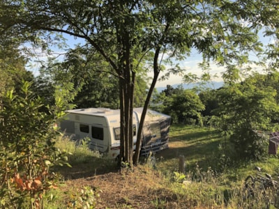 Exclusive Pitch 136-180m²: car + tent/caravan or camping-car + electricity — 1