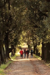 Foto #23 van Camping Barco Reale