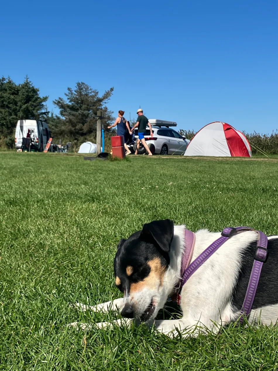 Thorsminde Camping