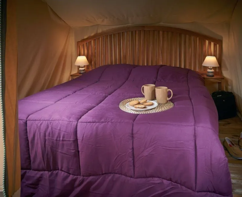 Tente Insolite - 9 M² -