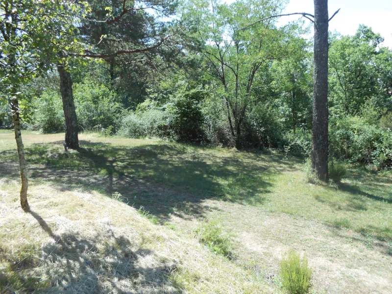 Emplacement + Véhicule + Électricité