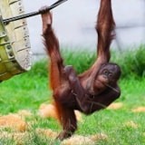 Foto #15 van Camping L’Entre-Deux