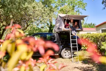 Stellplatz - Stellplatz (Auto + Zelt/Wohnwagen + Strom + Wasser) - CAMPING LA CERISE 