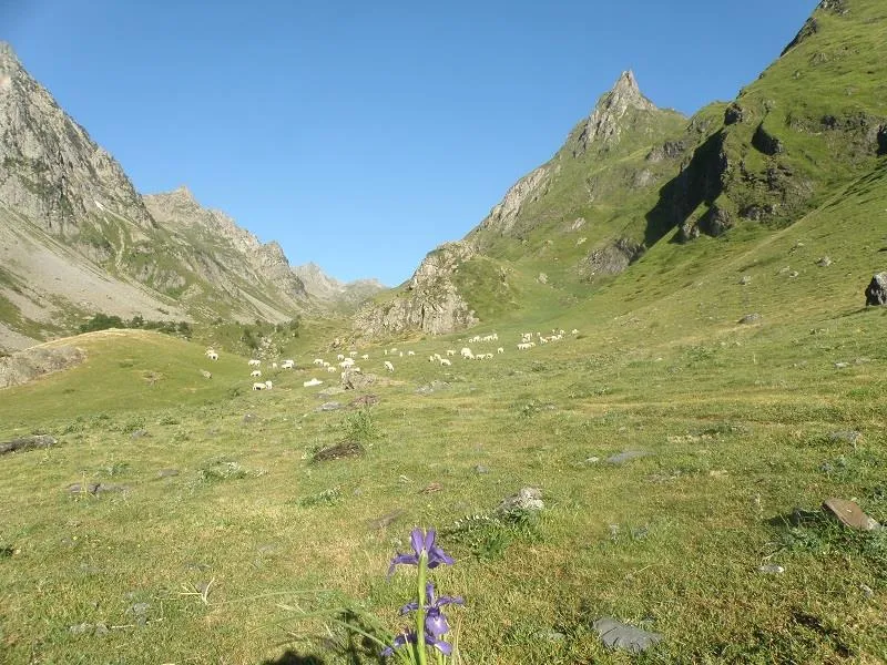 Camping Cap Pyrénées