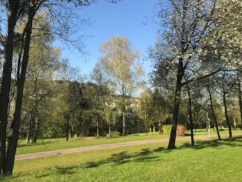 Emplacement - Emplacement Pour Campingcars, Caravanes & Tentes (Avec Voiture) - Camping Ettelbruck