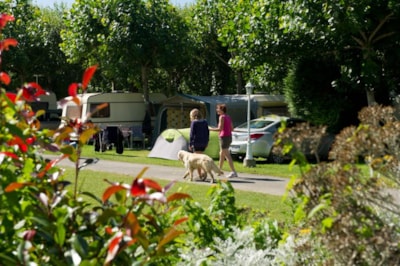 Camping pitch L