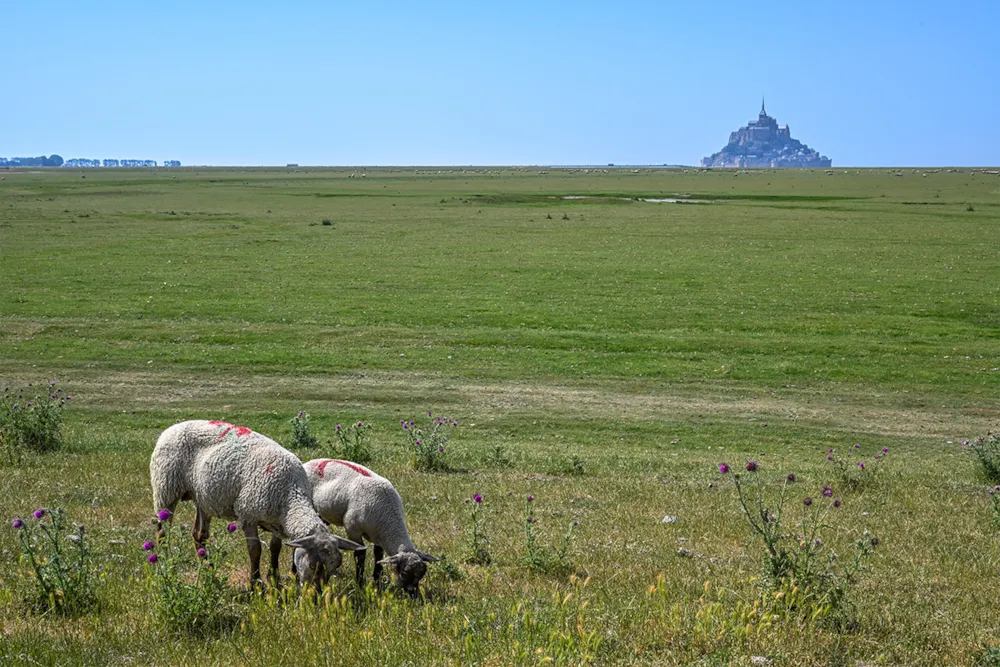 Camping Les Chemins Du Mont St Michel