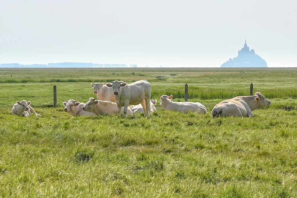 Camping Les Chemins Du Mont St Michel
