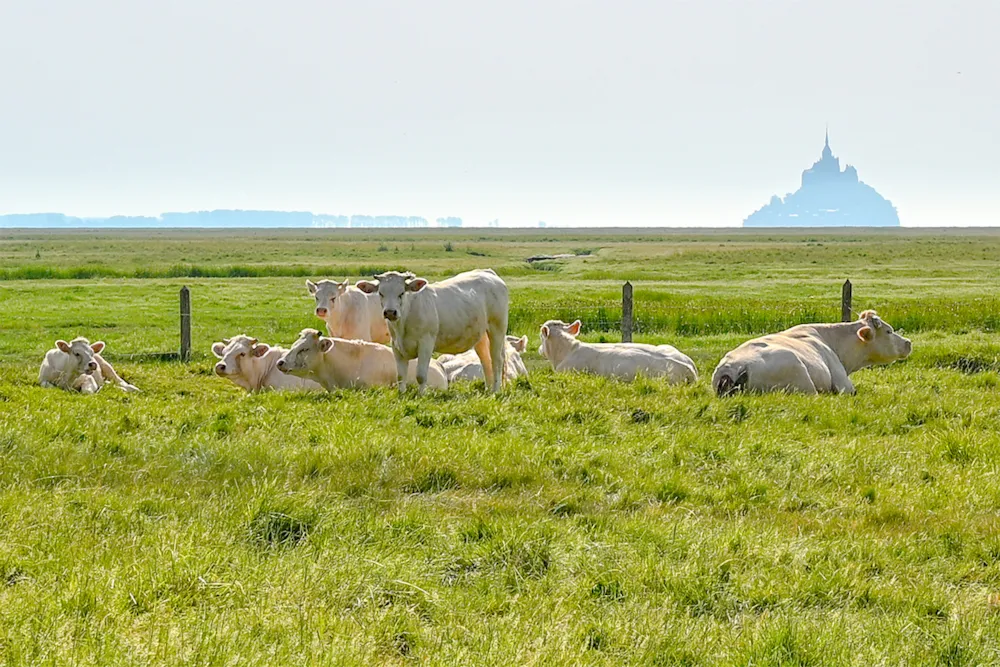Camping Les Chemins Du Mont St Michel