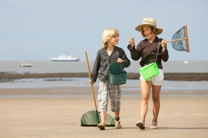Camping Les Chèvrefeuilles