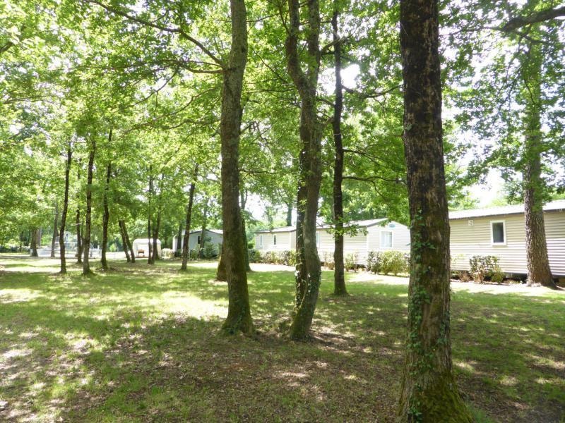 Camping Les Chèvrefeuilles — Foto 8