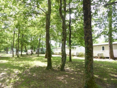 Camping Les Chèvrefeuilles