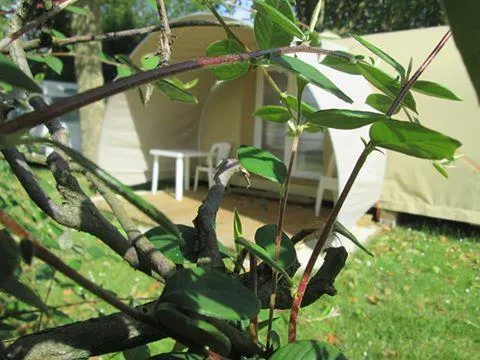 Cocosweet 16M² Sans Sanitaires Privés+ Wifi Offerte/Séjour (Pas De Télévision). Pas D'animaux