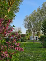 Camping Val de Boutonne - image n°3 - Camping Direct