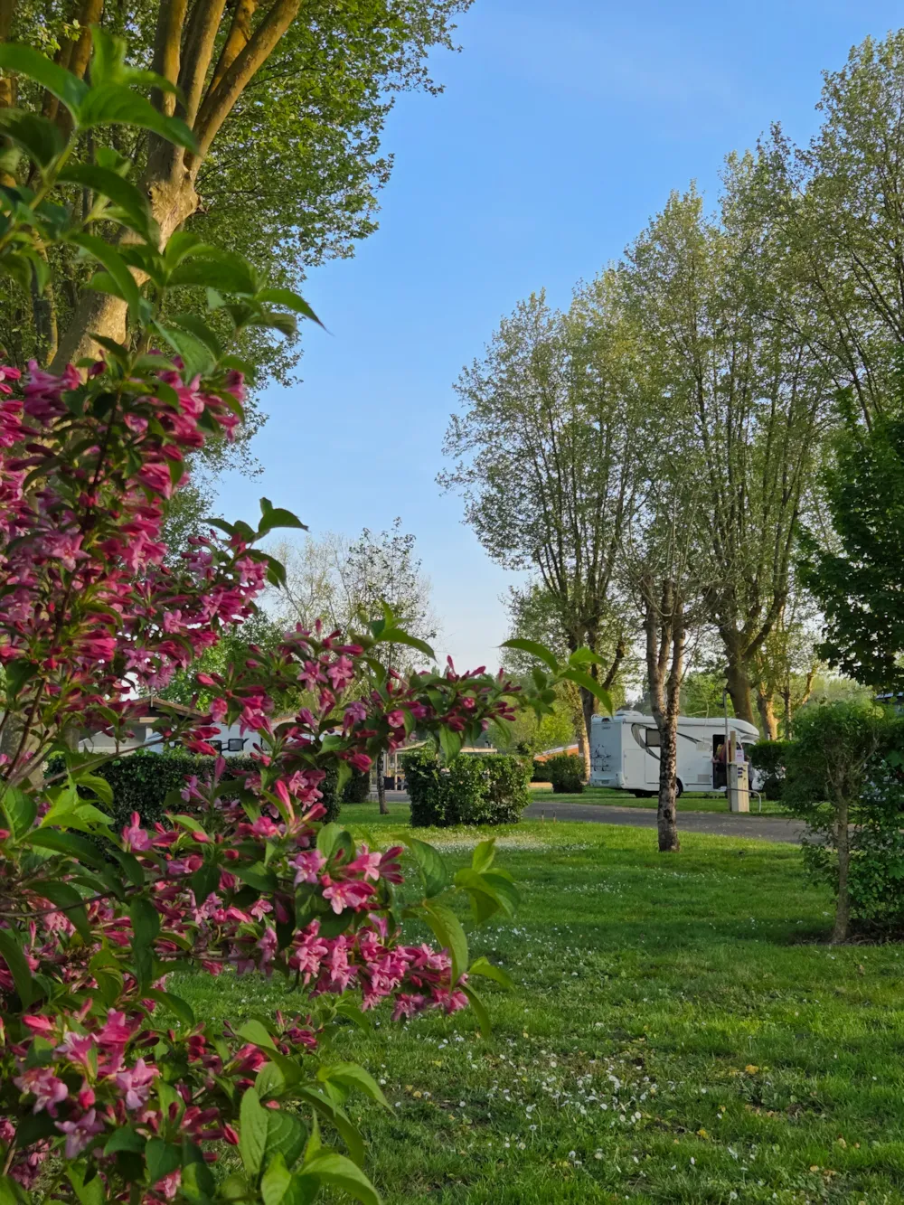 Camping Val de Boutonne